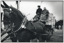 405323 Afbeelding van wethouder mevr. drs. W.N. Herweijer op een op een paard en wagen op de Reactorweg te Utrecht ...